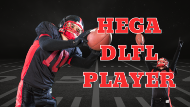 hega dlfl player