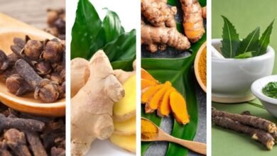 What is the Strongest Natural Antibiotic for Tooth Infection