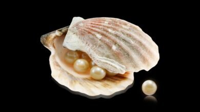 How Much are Pearls Worth
