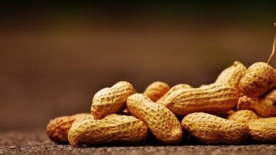 How Do Peanuts Grow