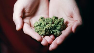 How Much is a Zip of Weed